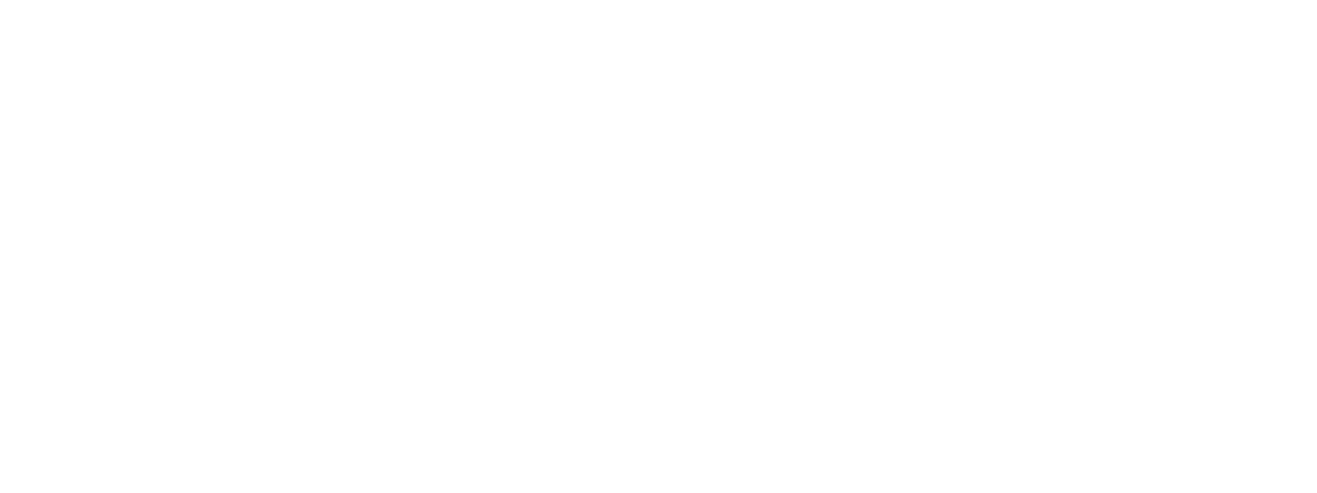 Concussion & CTE Foundation